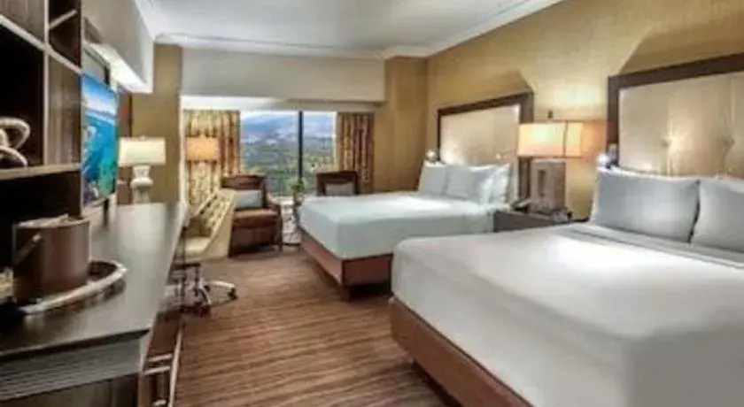 Bed in Atlantis Casino Resort Spa Bed in Atlantis Casino Resort Spa