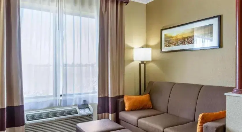 Comfort Suites Plainview Comfort Suites Plainview