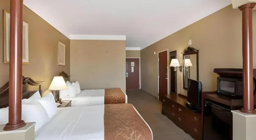 Bed in Comfort Suites Bed in Comfort Suites