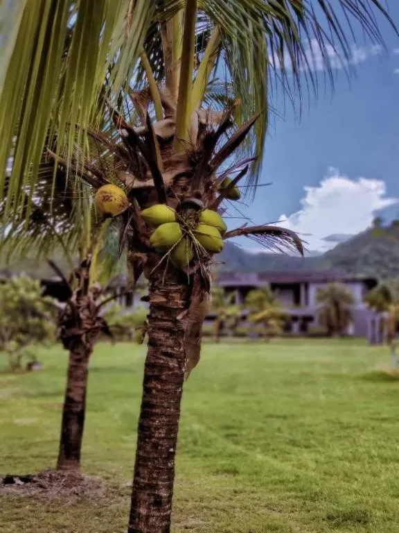 Avartarn Miracles Hotel