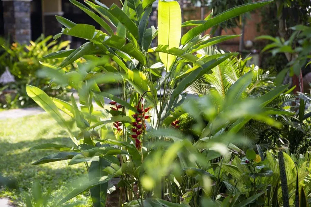 Hoi An Trails Resort