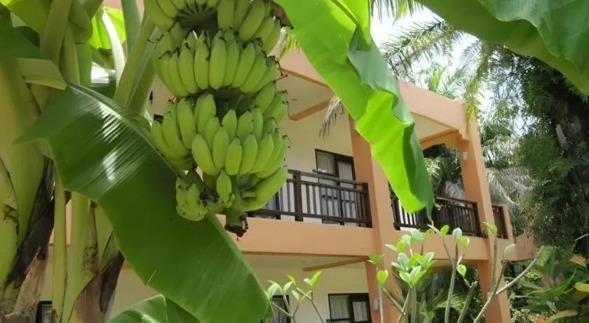 Khaolak Palm Hill Resort