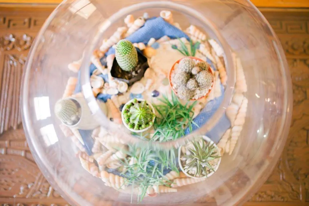 Ati-Atihan Festival Hotel