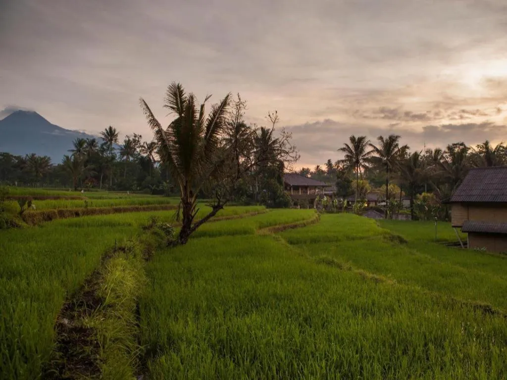 Sambi Resort, Spa & Resto