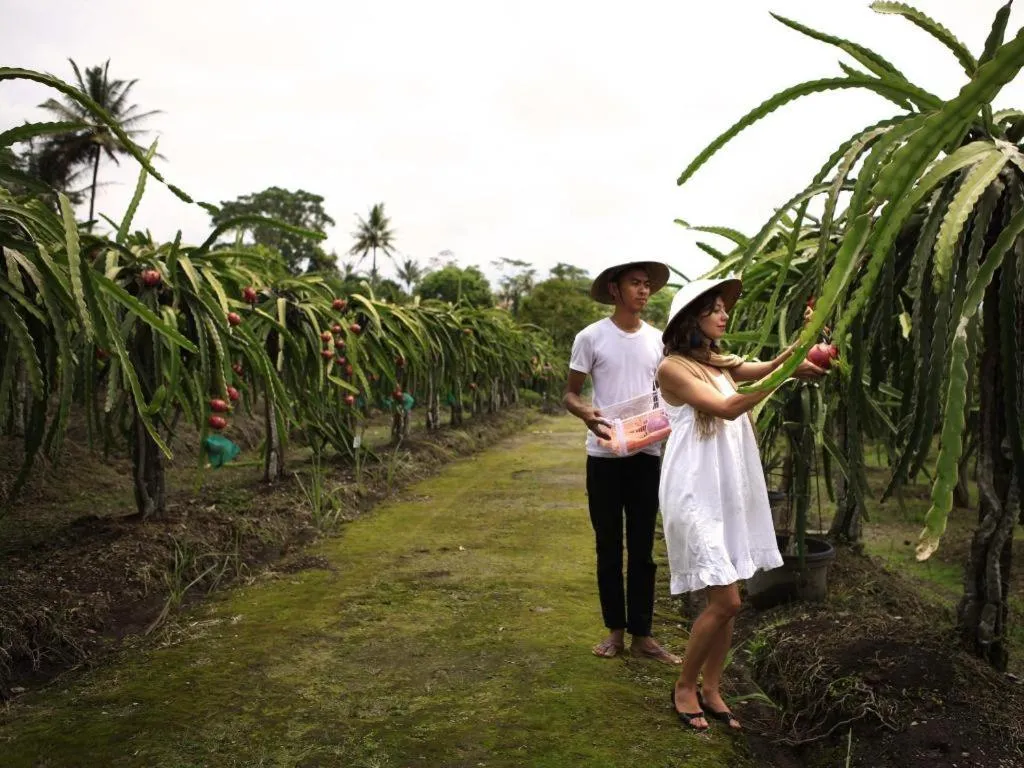 Sambi Resort, Spa & Resto