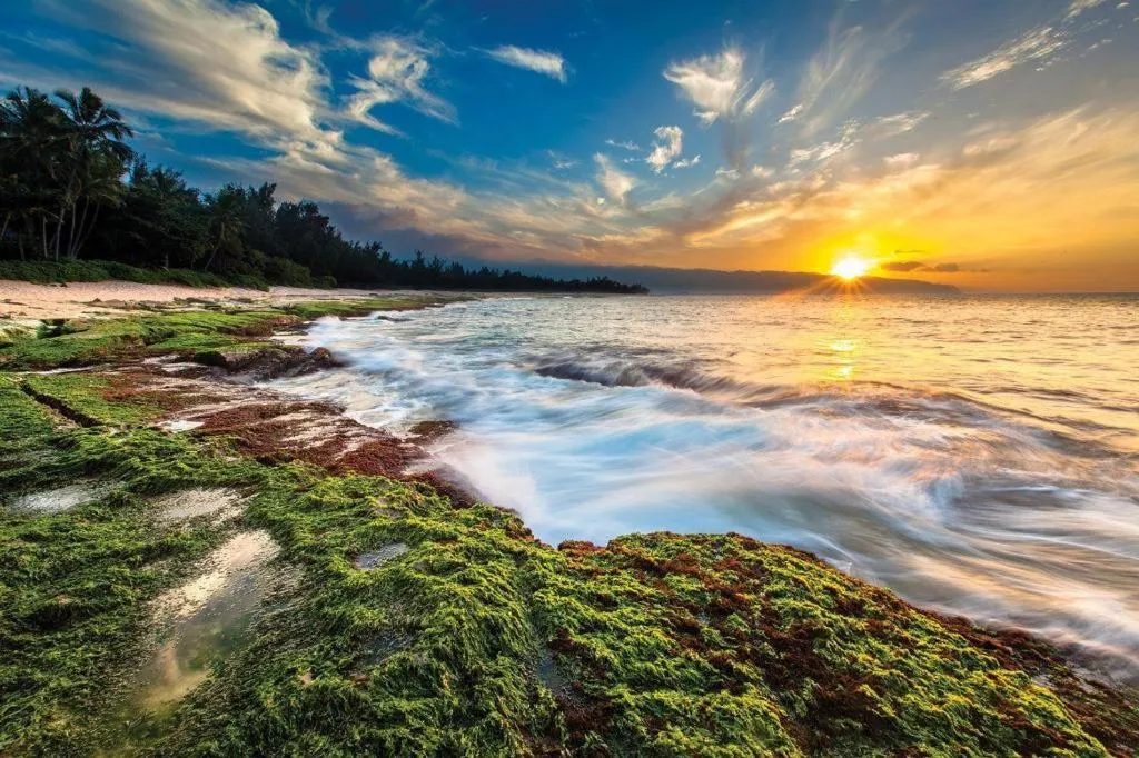 Wyndham Waikiki Beach Walk