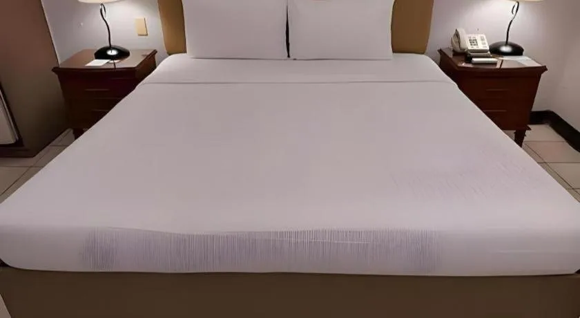 Bed in Las Palmas Hotel de Manila