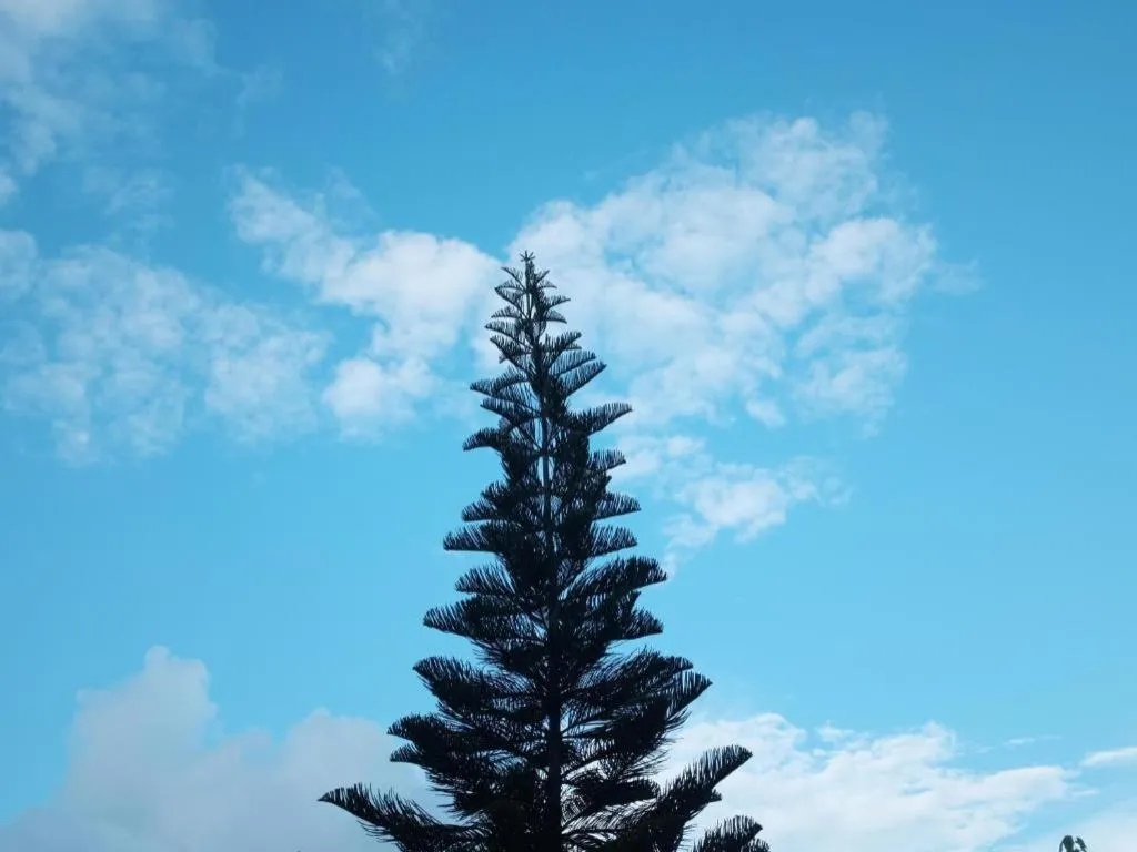 Anavilla Tangke Resort