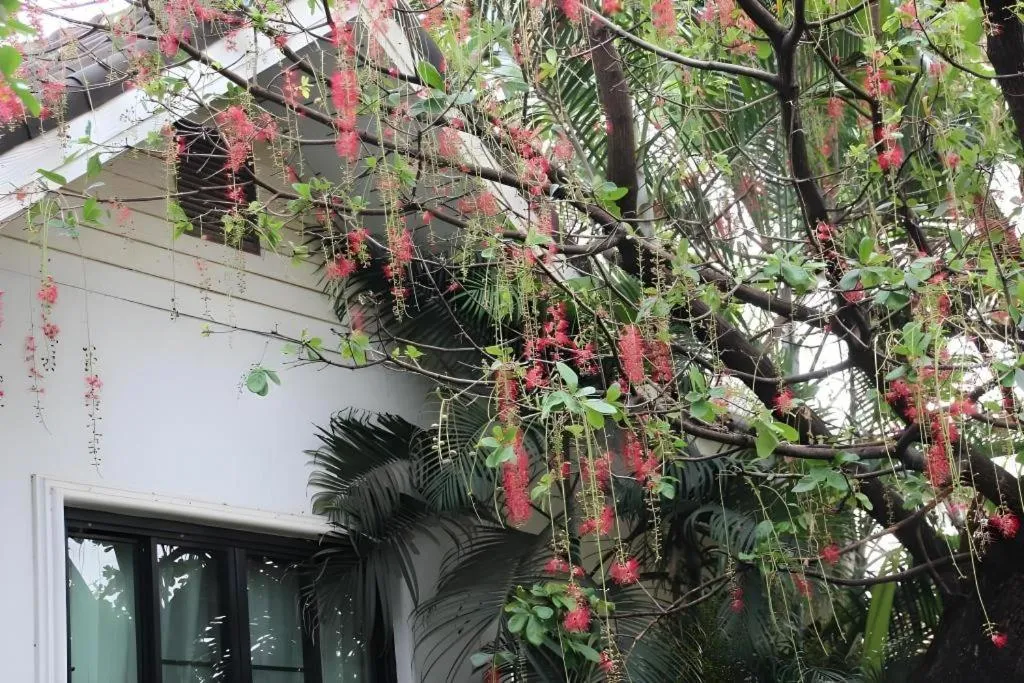 Chayada Garden House and Resort Hotel