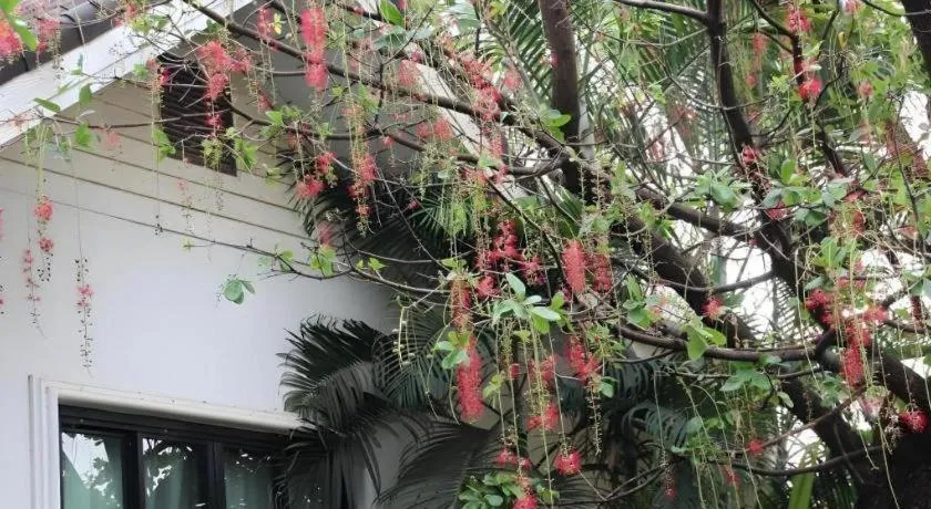 Chayada Garden House and Resort Hotel