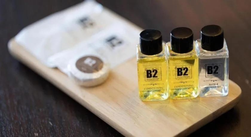 B2 Airport Boutique & Budget Hotel