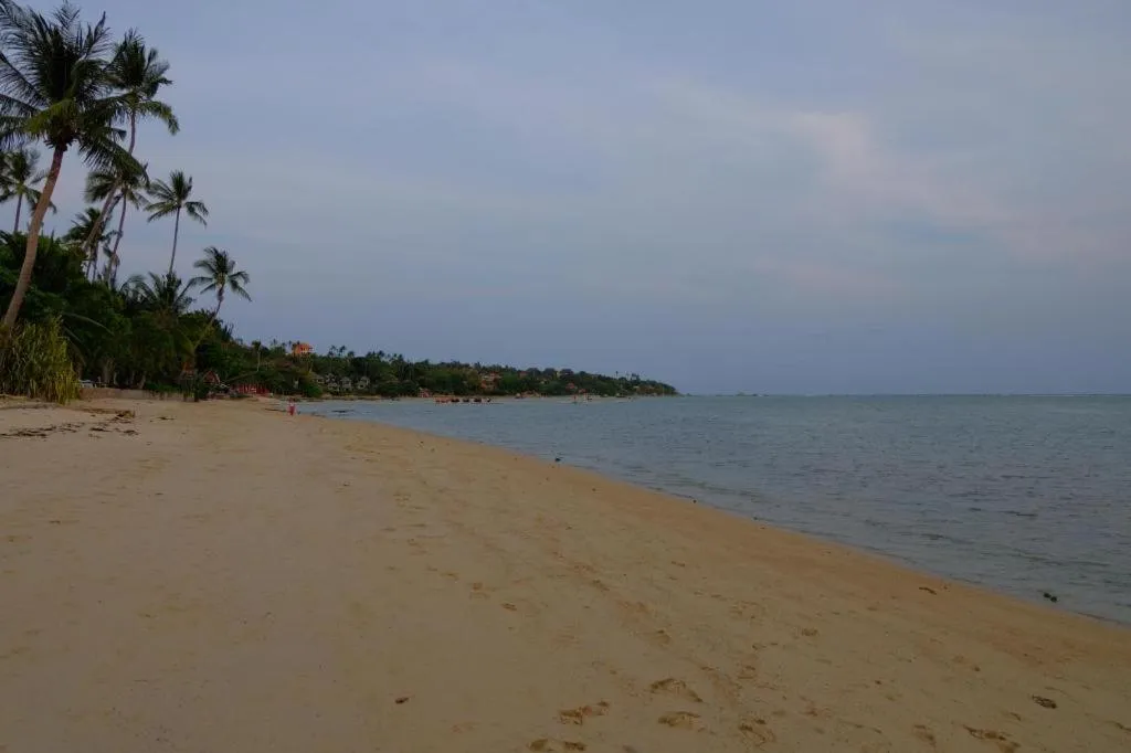 Rose Garden Samui Bungalows