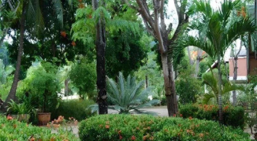 Rose Garden Samui Bungalows