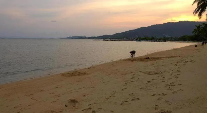 Rose Garden Samui Bungalows