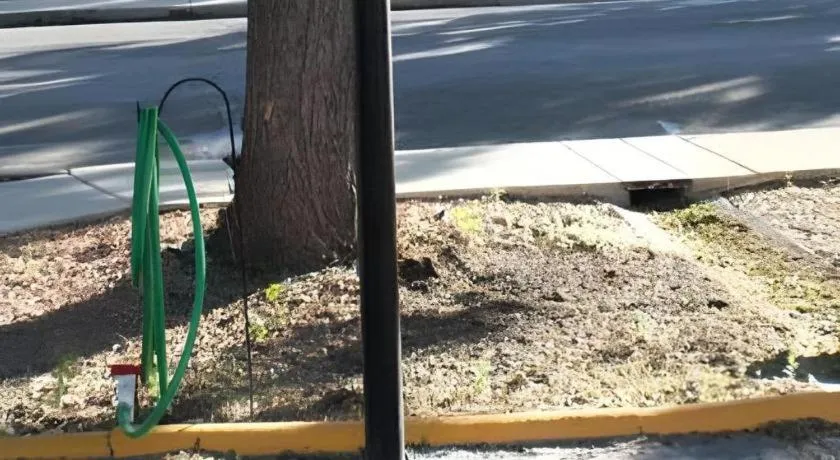 Americas Best Value Inn Grand Junction