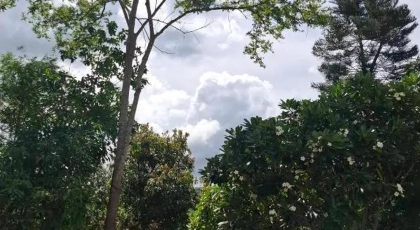 Nam Ou Riverside Resort