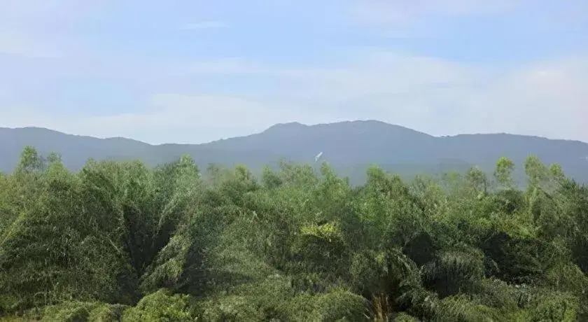 Palm Hill Resort Palm Hill Resort