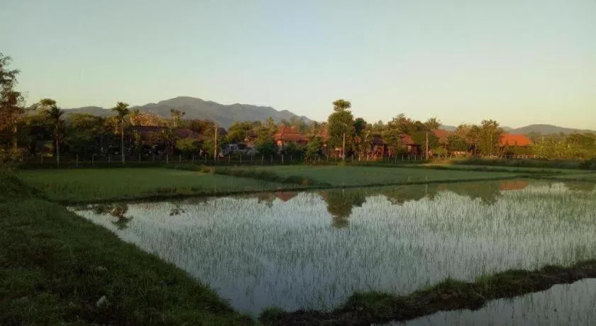 Indie House @ Maerim