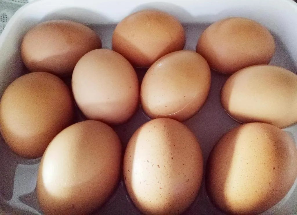 Indie House @ Maerim