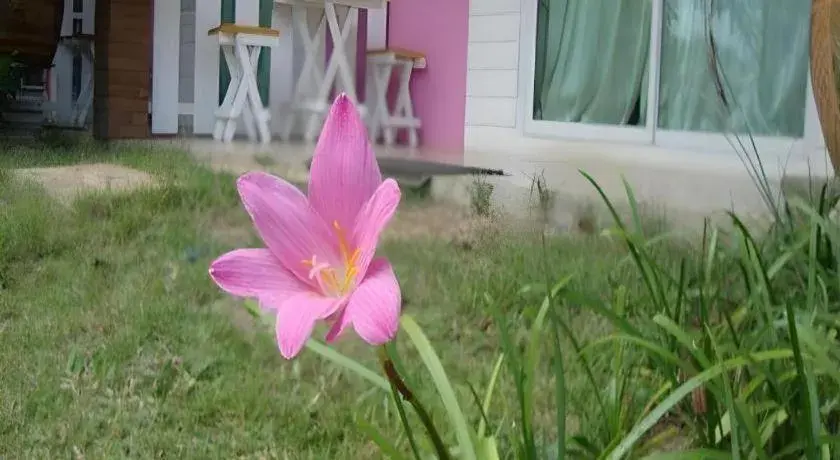 Baan Gon Chompu Baan Gon Chompu