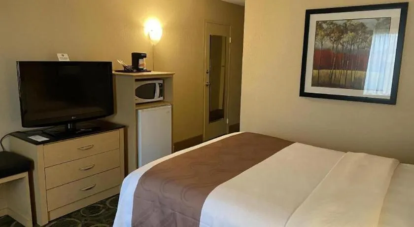 Bed in Quality Inn