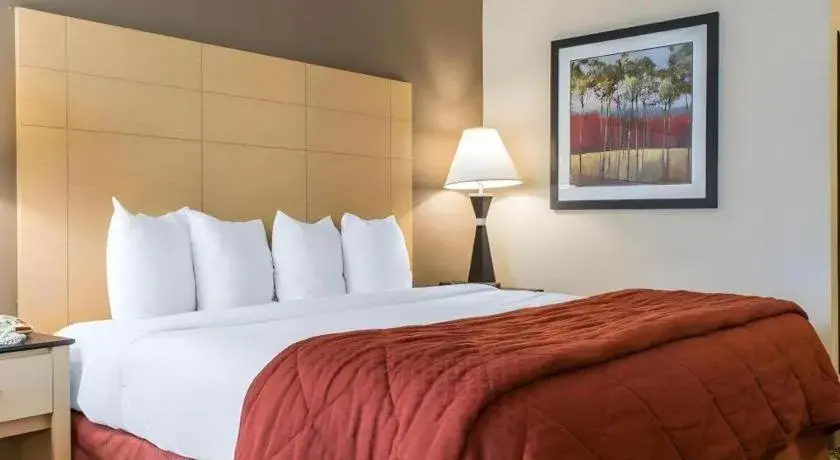 Bed in Quality Inn Bed in Quality Inn