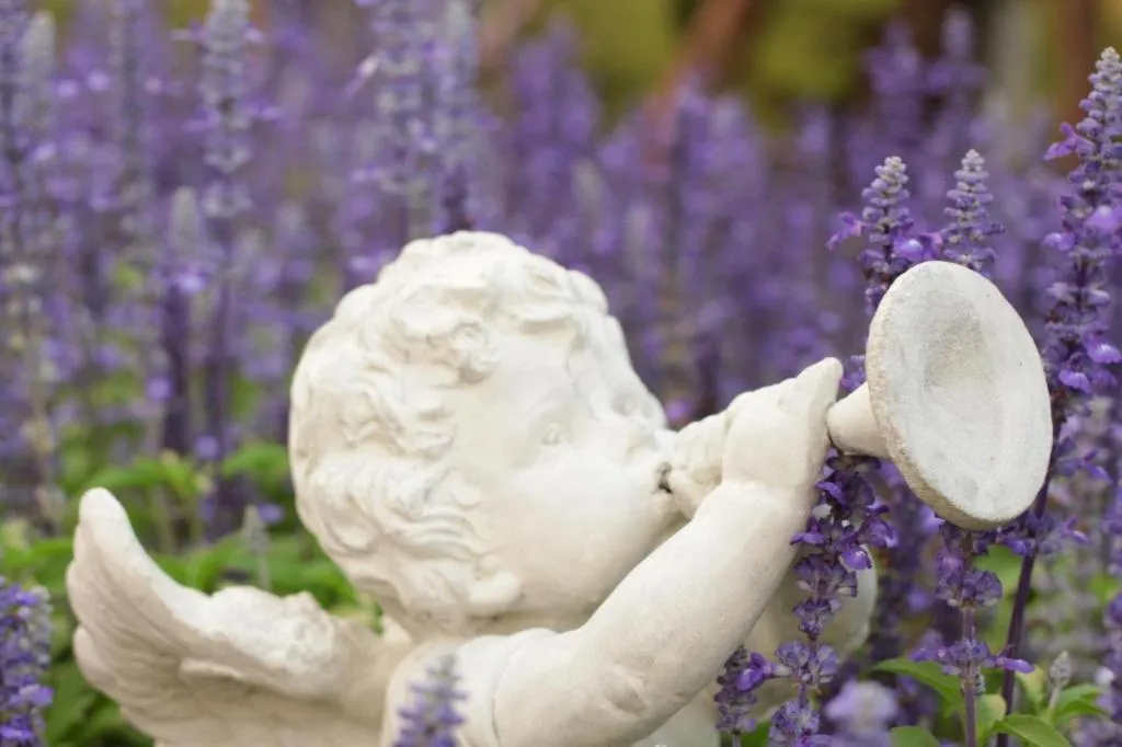 The Bluesky Resort @ Khao Kho