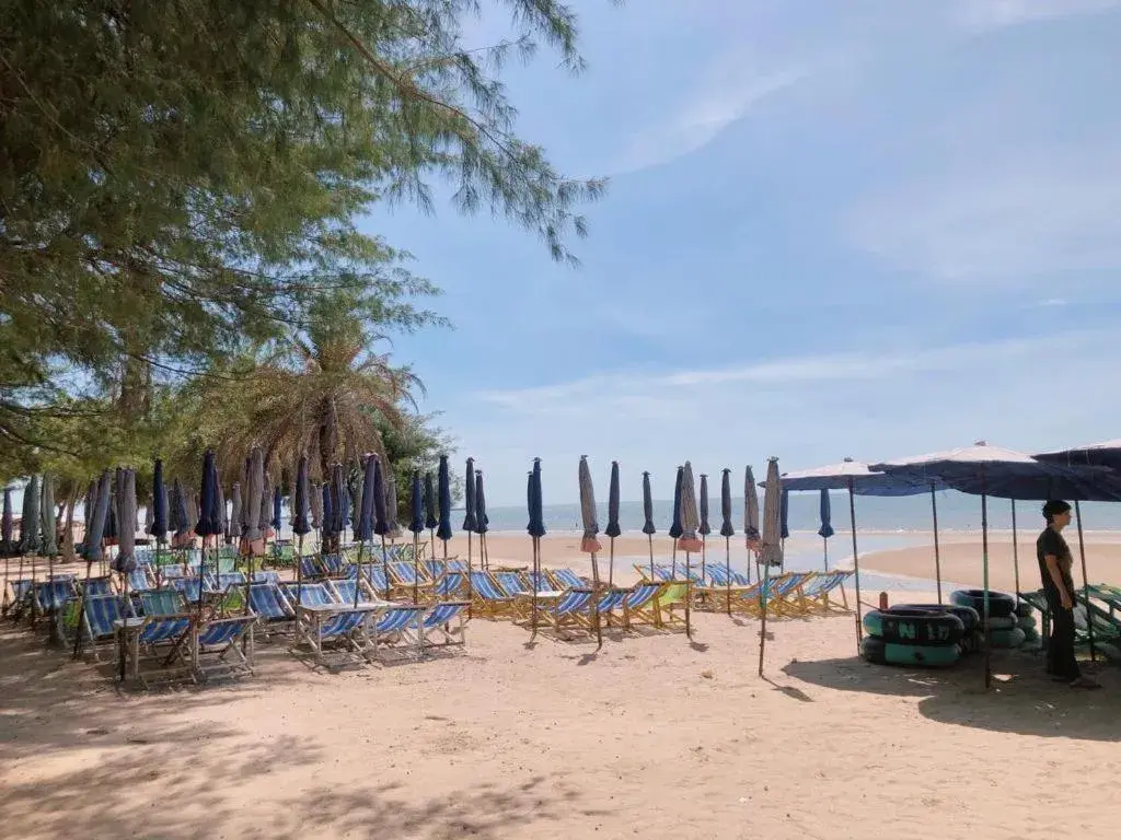 Magic House Hostel Magic House Hostel