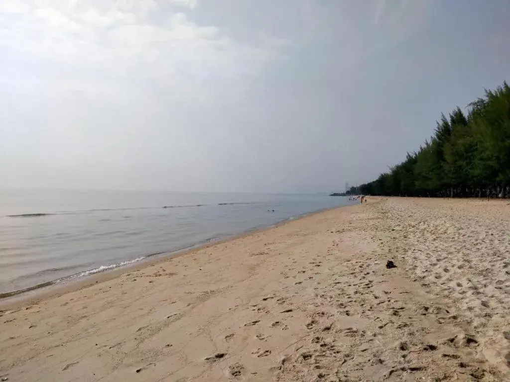 Magic House Hostel Magic House Hostel