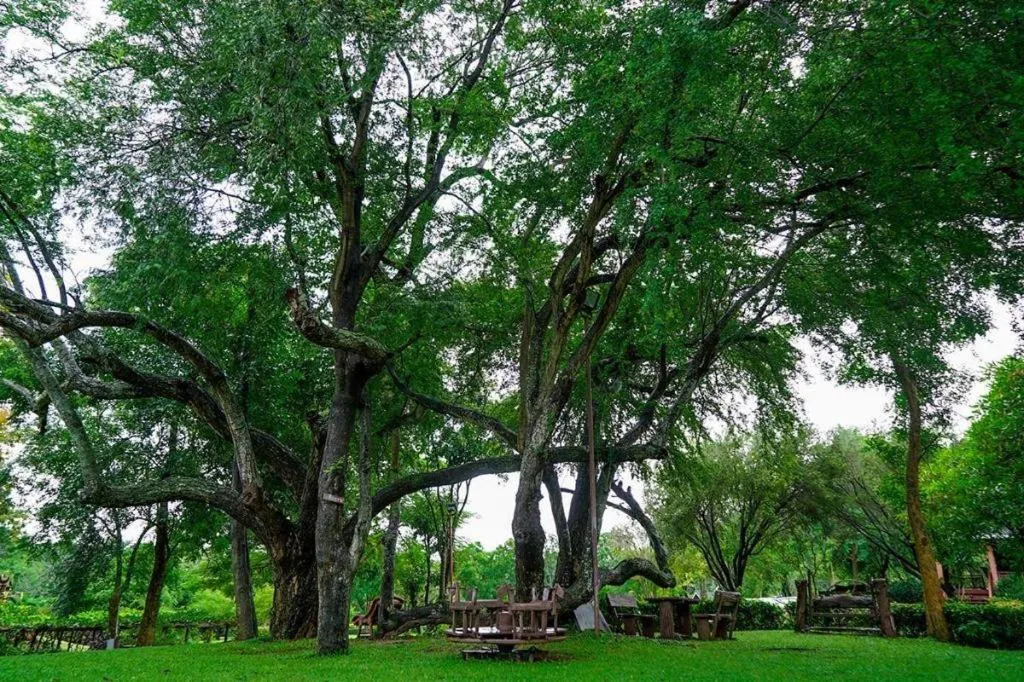 Valley Garden Resort