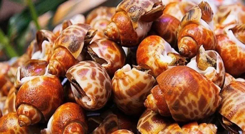 Eurasia International Hotel Eurasia International Hotel