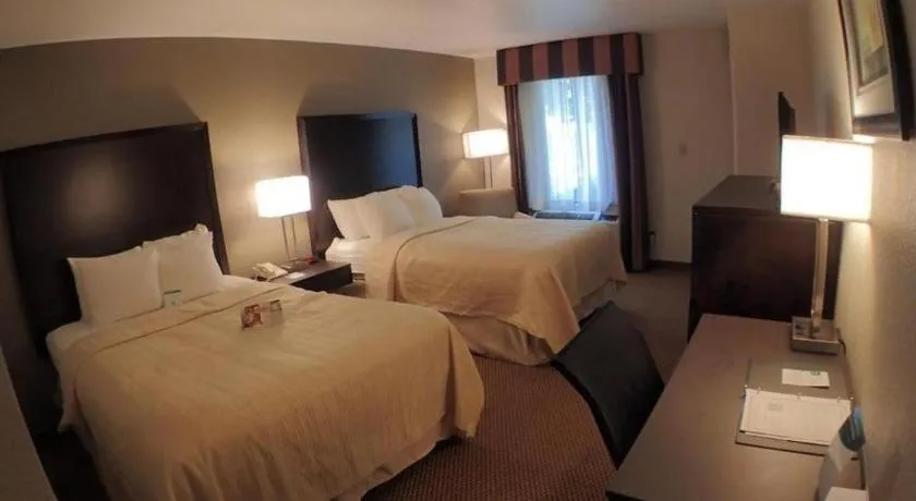 Bed in Quality Inn & Suites