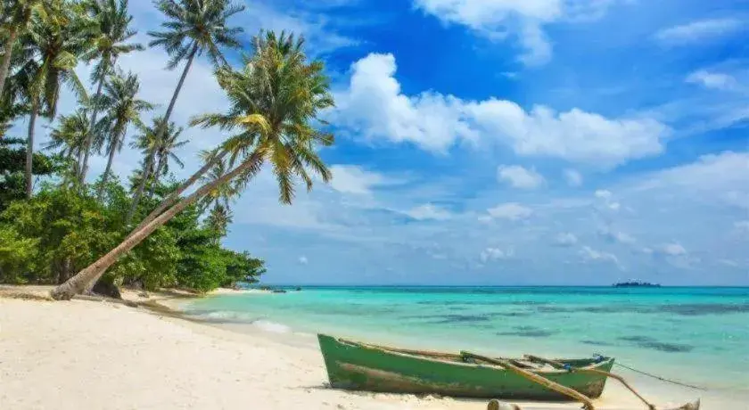 Jepara Beach Hotel Jepara Beach Hotel