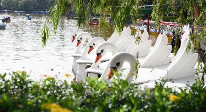 NYC Manhattan Suites