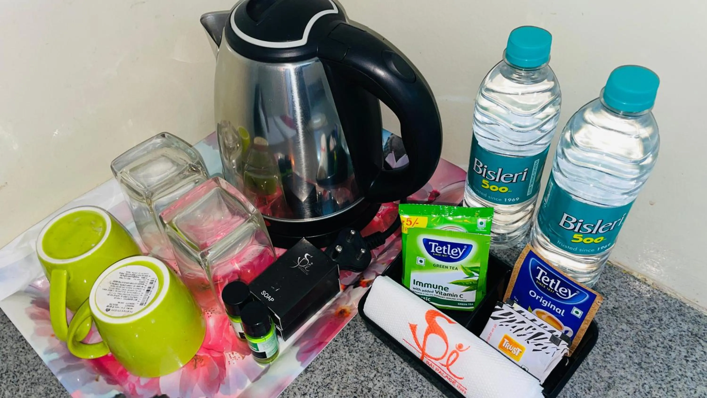 Hotel Sai Palace Inn