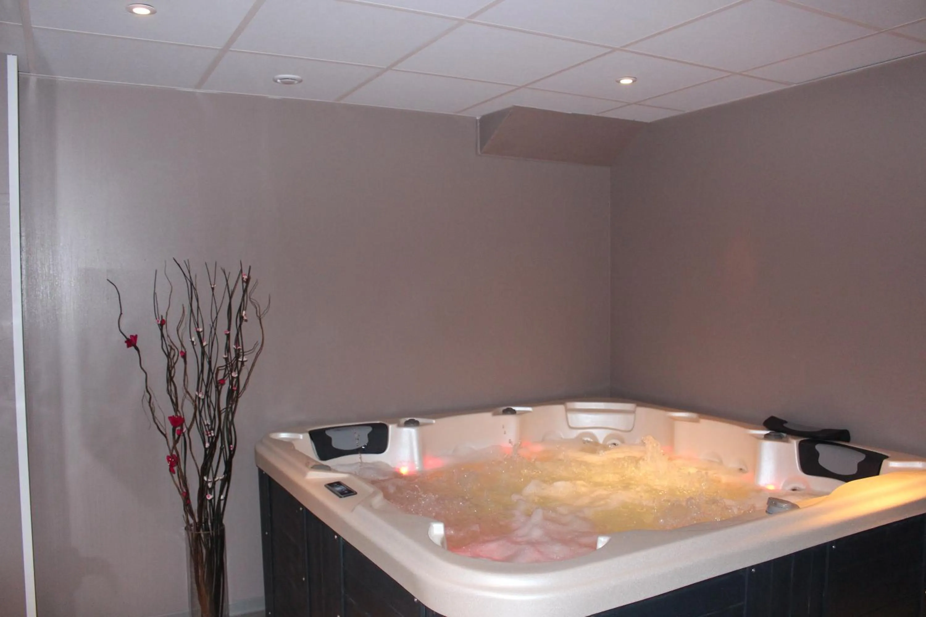 Spa and wellness centre/facilities in Les Carlines