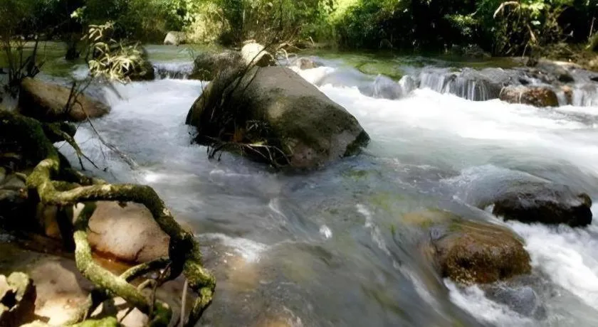 The Forest Home Resort