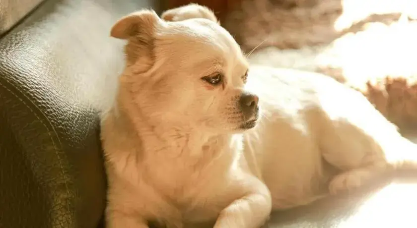 The North International Youth Hostel The North International Youth Hostel