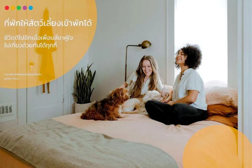 Bed in Kamin Bird Hostel