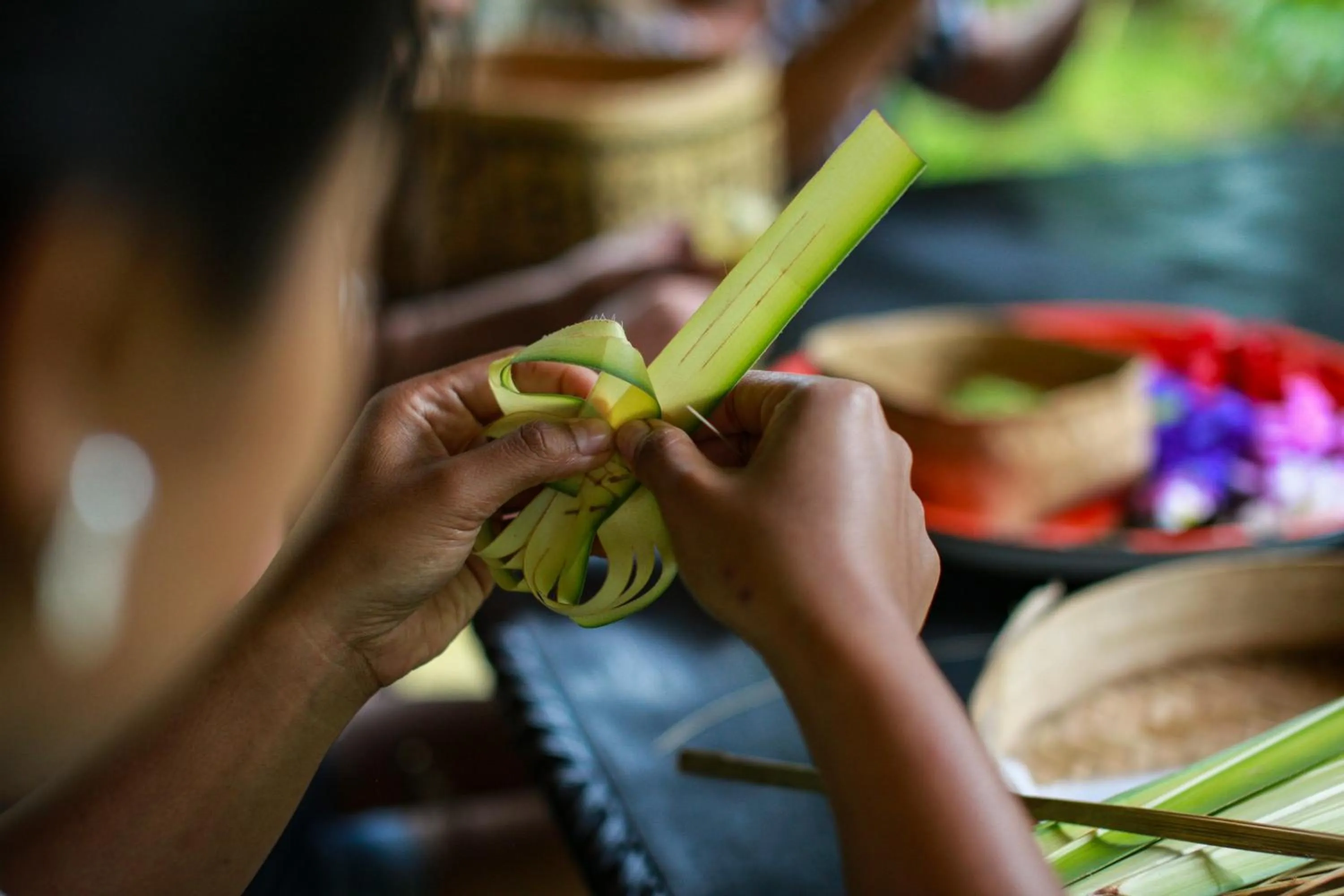 Activities in Darmada Eco Resort