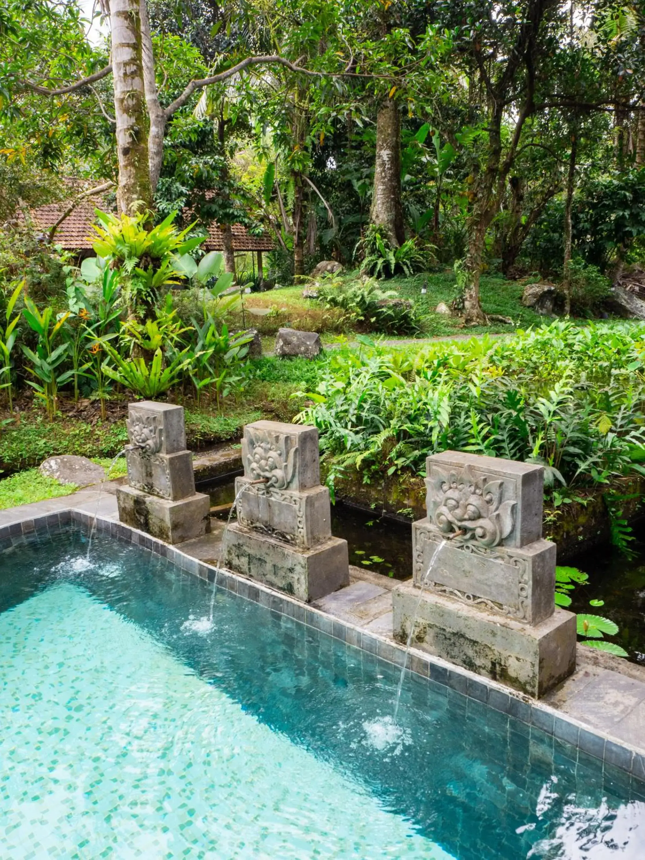 Pool view in Darmada Eco Resort Pool view in Darmada Eco Resort