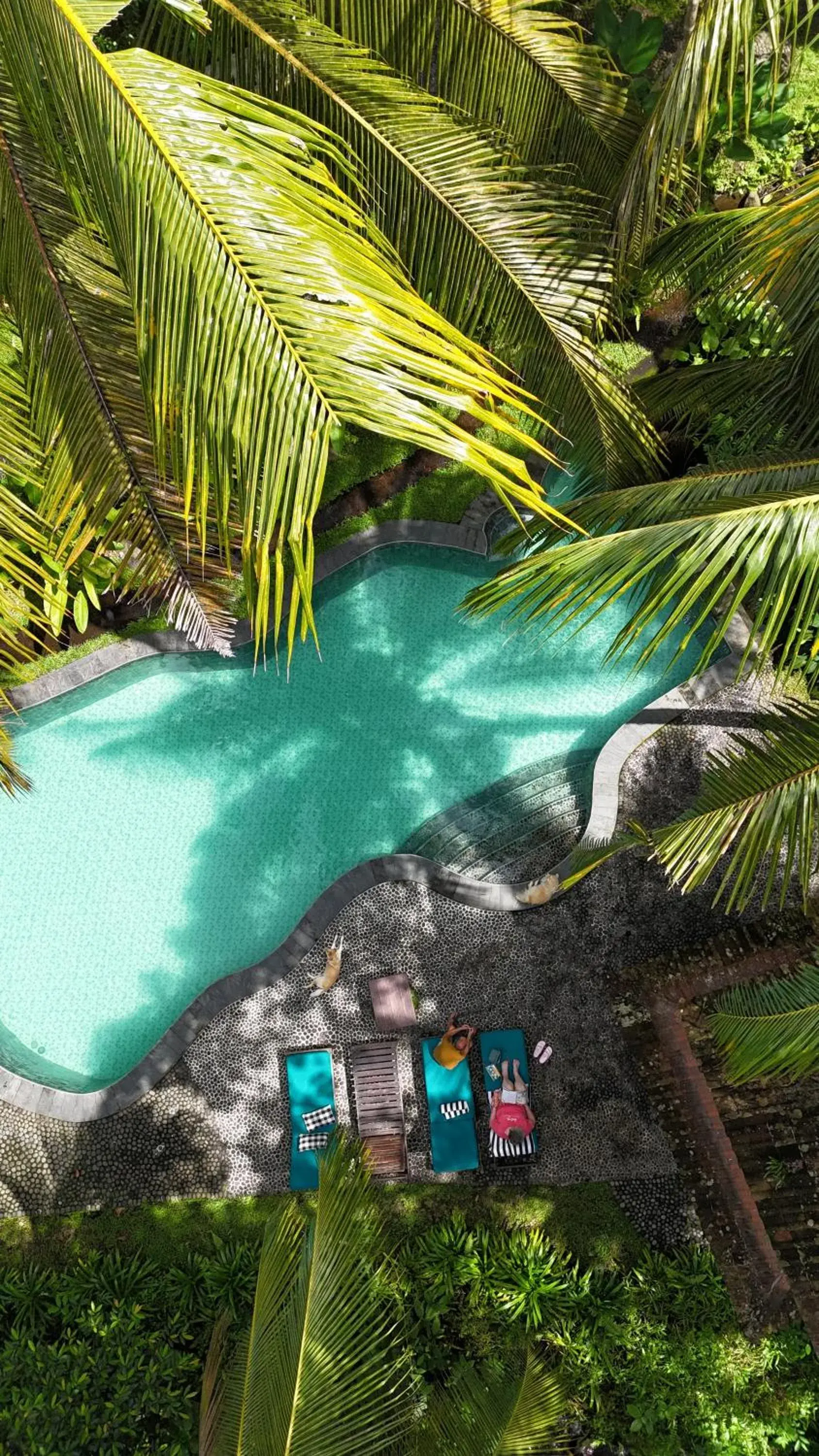 Swimming pool in Darmada Eco Resort Swimming pool in Darmada Eco Resort