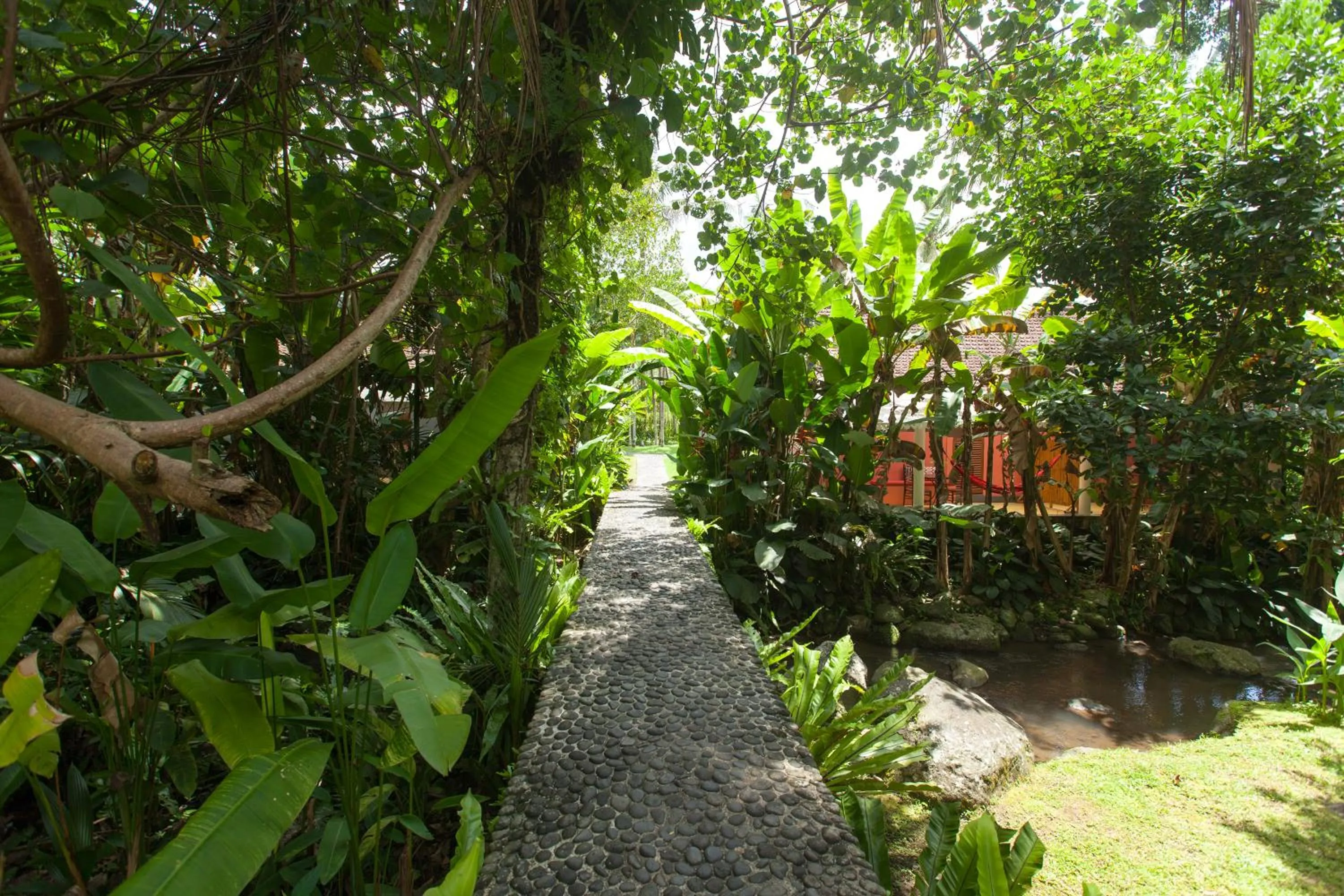 River view in Darmada Eco Resort