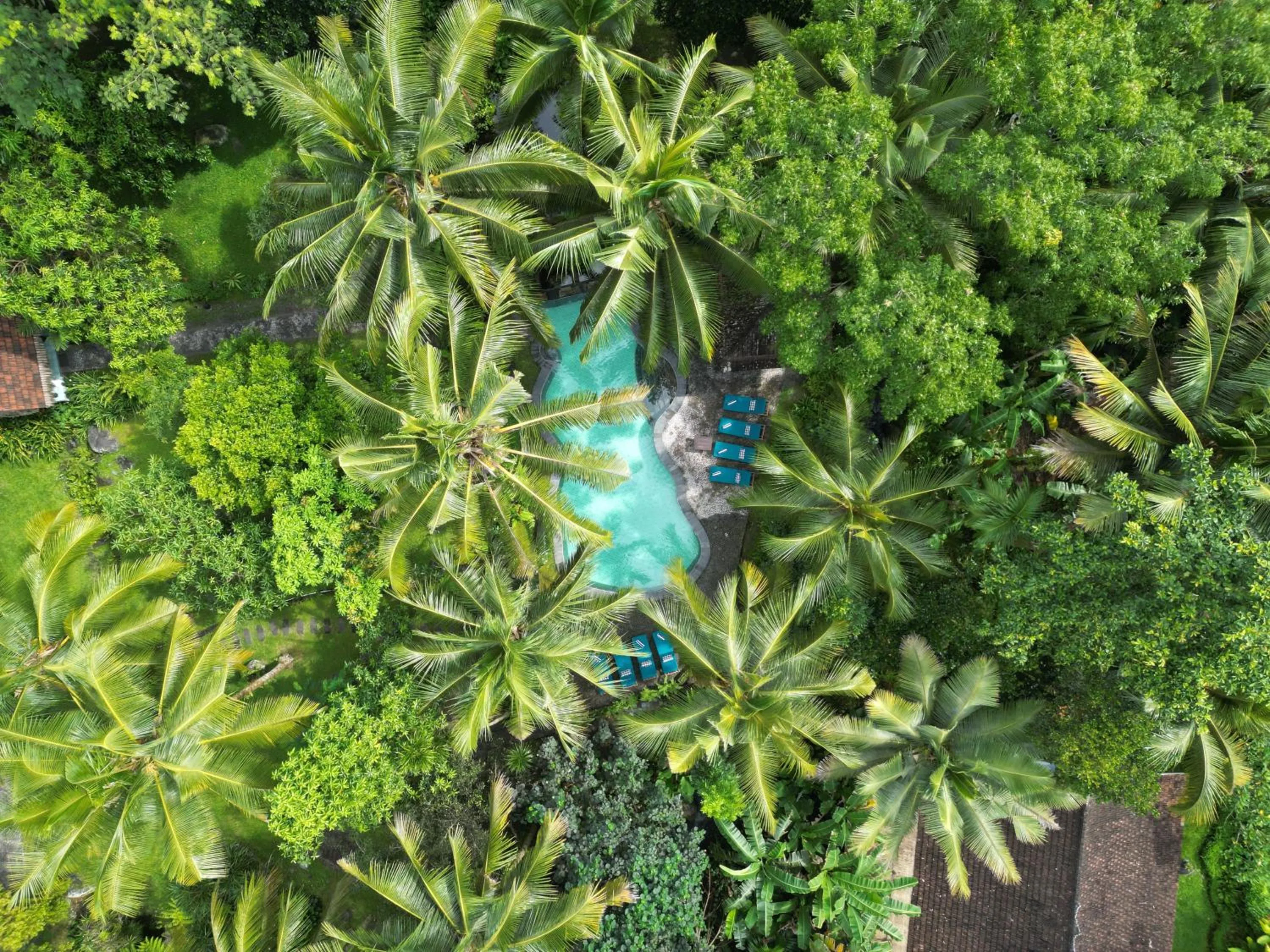 Swimming pool in Darmada Eco Resort