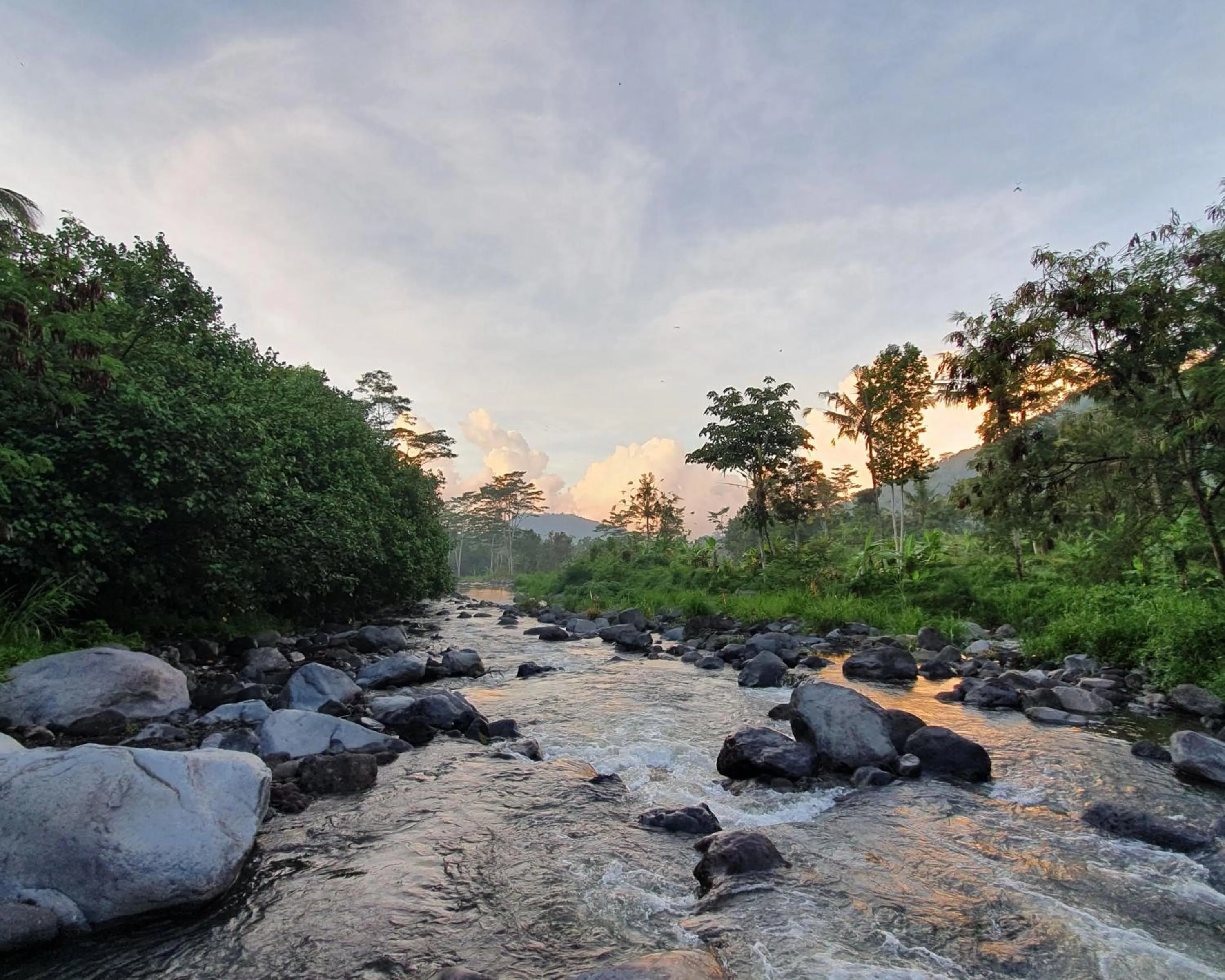 Neighbourhood in Darmada Eco Resort