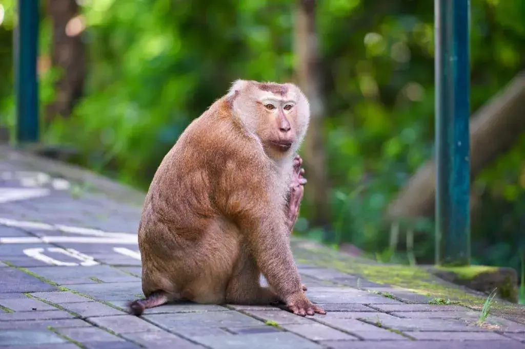 B2 Phuket Boutique & Budget Hotel B2 Phuket Boutique & Budget Hotel