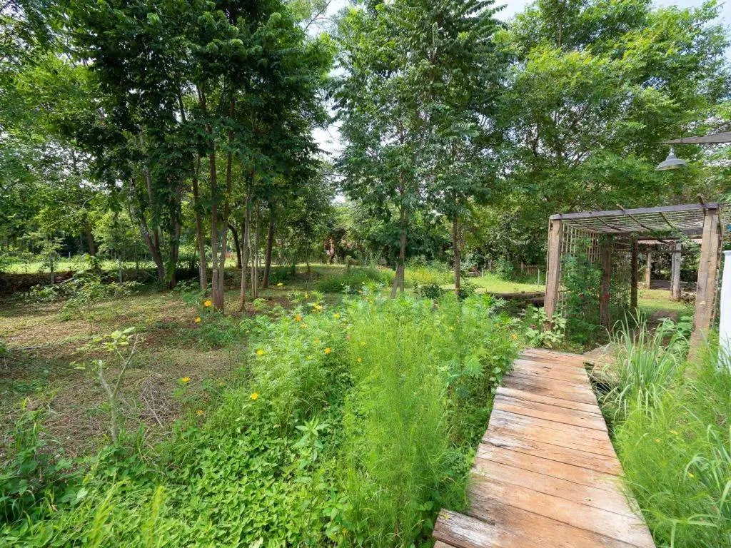 The Frog Khao Yai Resort