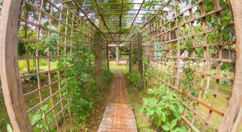 The Frog Khao Yai Resort