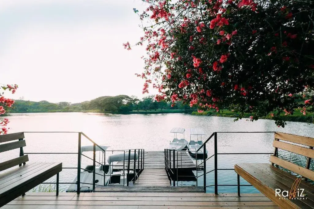 Rabbiz Hill Resort Rabbiz Hill Resort