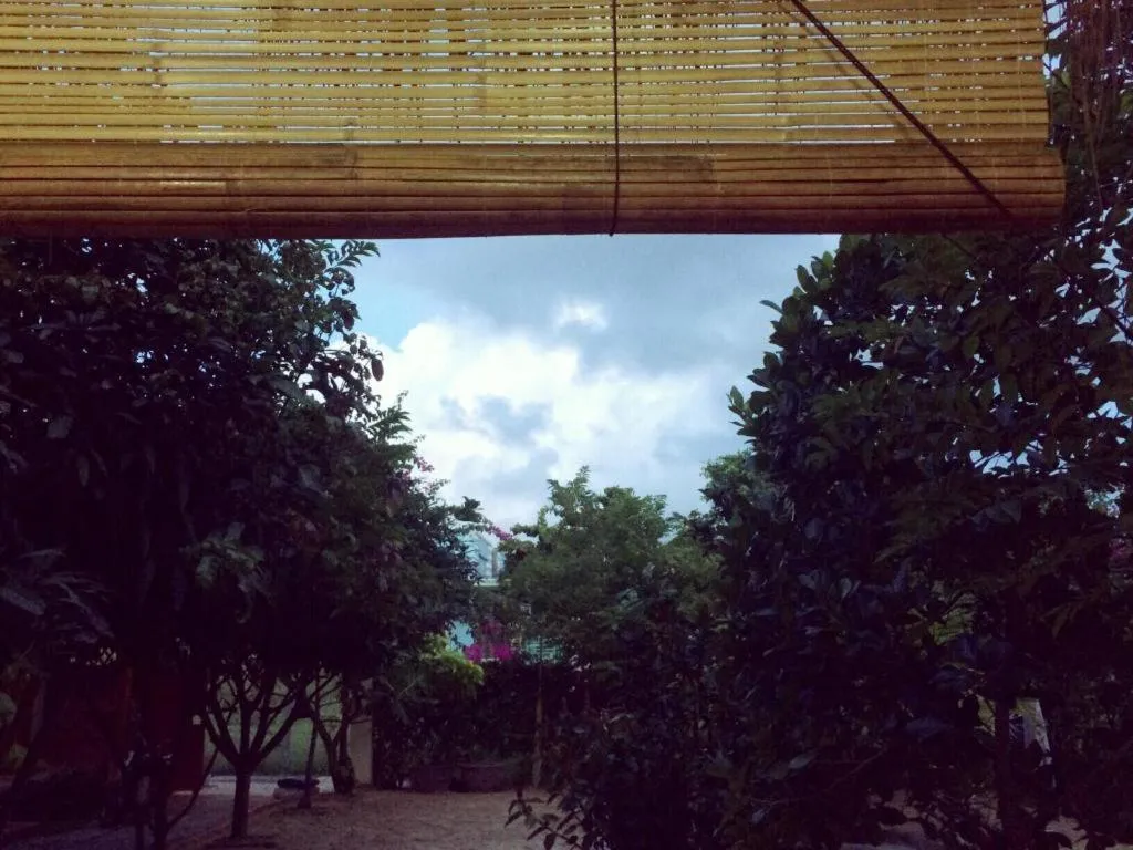 Draco - Thang Long Hotel